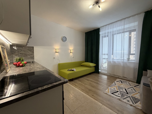 Сдам однокомнатную (1-комн.) квартиру, Арсенальная ул, 7, Новое Девяткино д