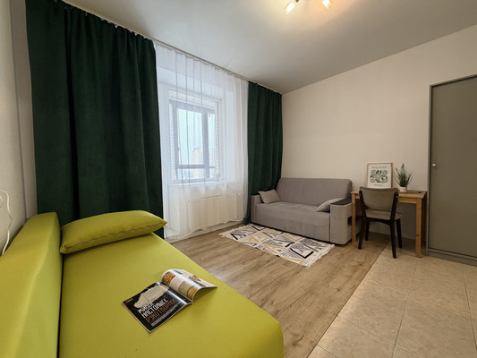 Сдам однокомнатную (1-комн.) квартиру, Арсенальная ул, 7, Новое Девяткино д