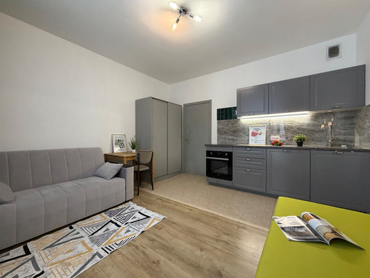 Сдам однокомнатную (1-комн.) квартиру, Арсенальная ул, 7, Новое Девяткино д