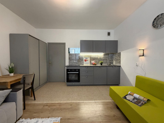 Сдам однокомнатную (1-комн.) квартиру, Арсенальная ул, 7, Новое Девяткино д