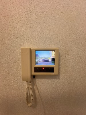 Сдам однокомнатную (1-комн.) квартиру, Арсенальная ул, 7, Новое Девяткино д