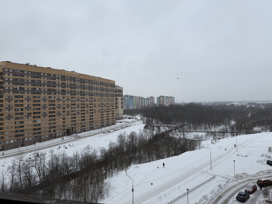 Сдам однокомнатную (1-комн.) квартиру, Арсенальная ул, 7, Новое Девяткино д