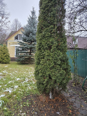 Продам дом, Новомосковская ул, 160, Москва г, 0 км от города