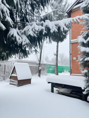 Продам дом, 45, Змеевка д, 0 км от города