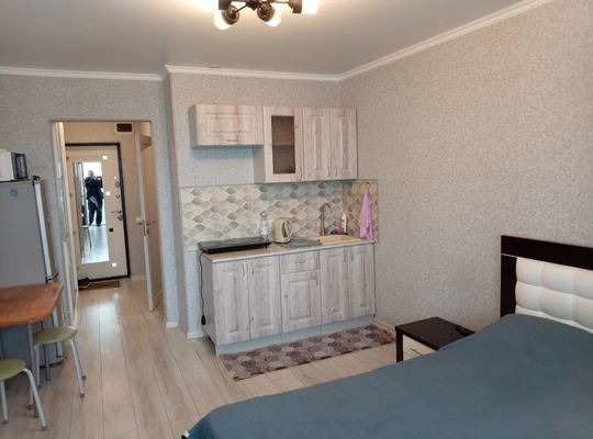 Сдам однокомнатную (1-комн.) квартиру, Владимирская ул, 154к4, Анапа г