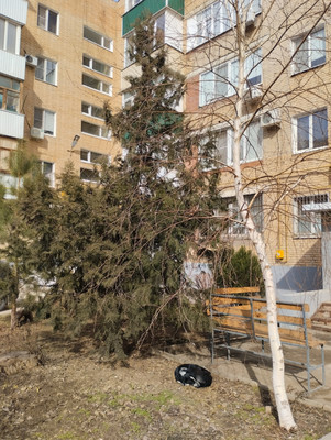 Продам трехкомнатную (3-комн.) квартиру, Маршала Кошевого ул, 10, Волгодонск г