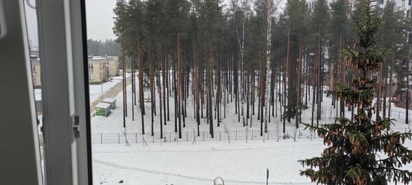 Продам двухкомнатную (2-комн.) квартиру, Молодцова ул, 10, Сертолово г