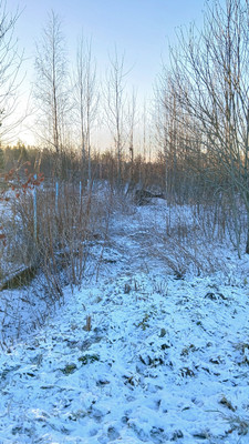 Продам участок 10 соток, Фермерское хоз., Хиттолово д, 0 км от города