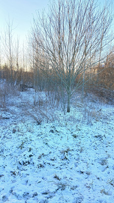 Продам участок 10 соток, Фермерское хоз., Хиттолово д, 0 км от города