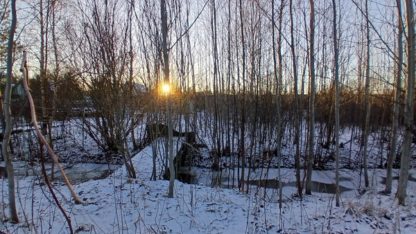 Продам участок 10 соток, Фермерское хоз., Хиттолово д, 0 км от города