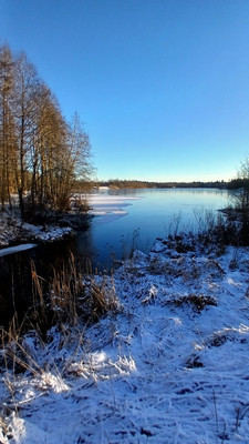 Продам участок 10 соток, Фермерское хоз., Хиттолово д, 0 км от города