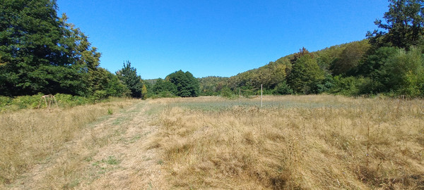 Продам землю для коммерческого использования 6 соток, Фермерское хоз., Анастасиевка с