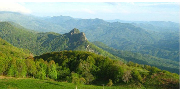 Продам землю для коммерческого использования 6 соток, Фермерское хоз., Анастасиевка с