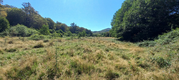 Продам землю для коммерческого использования 6 соток, Фермерское хоз., Анастасиевка с