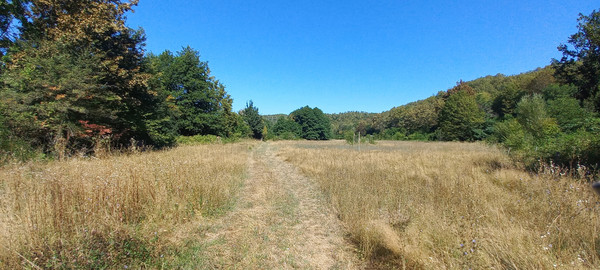 Продам землю для коммерческого использования 6 соток, Фермерское хоз., Анастасиевка с