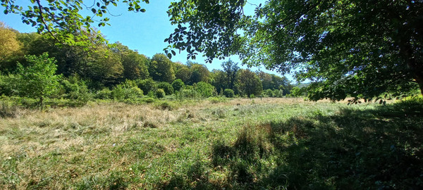 Продам землю для коммерческого использования 6 соток, Фермерское хоз., Анастасиевка с