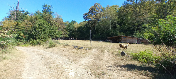 Продам землю для коммерческого использования 6 соток, Фермерское хоз., Анастасиевка с