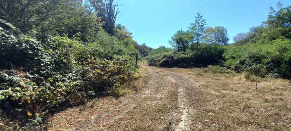 Продам землю для коммерческого использования 6 соток, Фермерское хоз., Анастасиевка с