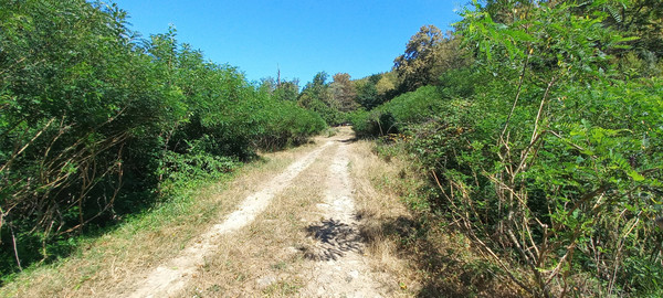 Продам землю для коммерческого использования 6 соток, Фермерское хоз., Анастасиевка с