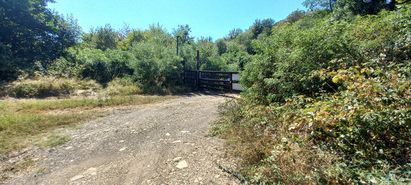 Продам землю для коммерческого использования 6 соток, Фермерское хоз., Анастасиевка с