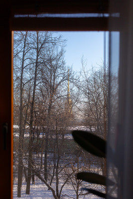 Продам двухкомнатную (2-комн.) квартиру, Кронверкский пр-кт, 65А, Санкт-Петербург г