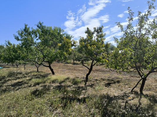 Продам участок 10 соток, ИЖС, Шоссейная ул, 6, Ивановка с, 0 км от города