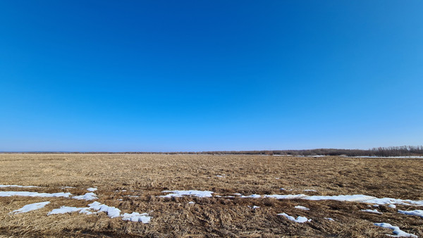 Продам участок 700 соток, Фермерское хоз., 1-я линия ул, 126, Черемхи 2 тер. ДНТ, 0 км от города