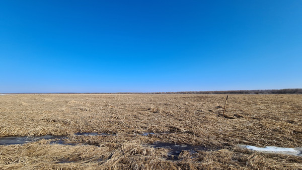 Продам участок 700 соток, Фермерское хоз., 1-я линия ул, 126, Черемхи 2 тер. ДНТ, 0 км от города