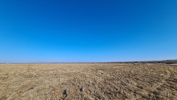 Продам участок 700 соток, Фермерское хоз., 1-я линия ул, 126, Черемхи 2 тер. ДНТ, 0 км от города