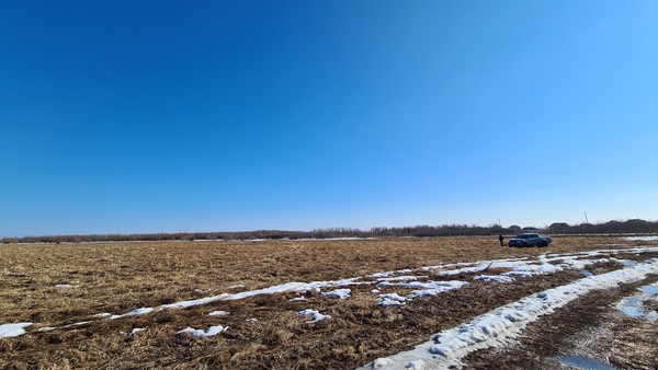 Продам участок 700 соток, Фермерское хоз., 1-я линия ул, 126, Черемхи 2 тер. ДНТ, 0 км от города