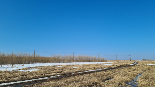 Продам участок 700 соток, Фермерское хоз., 1-я линия ул, 126, Черемхи 2 тер. ДНТ, 0 км от города