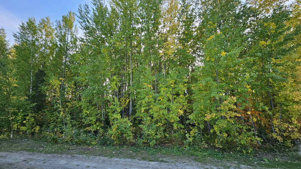 Продам участок 20 соток, Фермерское хоз., СОНТ Ясная поляна 14 км автодор Х-М-Т снт, 9а, Ханты-Мансийск г, 0 км от города