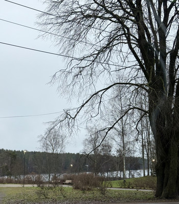 Продам двухкомнатную (2-комн.) квартиру, Шалавина ул, 49, Рощино гп