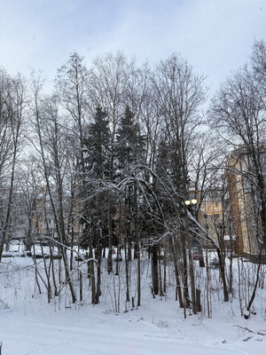 Продам двухкомнатную (2-комн.) квартиру, Шалавина ул, 49, Рощино гп