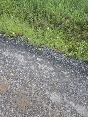 Продам участок 5,21 соток, ИЖС, Судаково д, 0 км от города