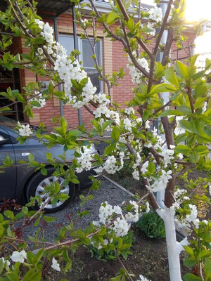 Продам дом, Ставропольская ул, 25в, Батайск г, 0 км от города