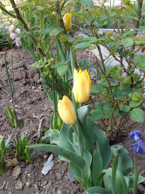 Продам дом, Ставропольская ул, 25в, Батайск г, 0 км от города