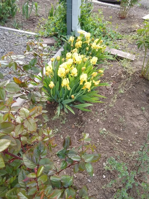 Продам дом, Ставропольская ул, 25в, Батайск г, 0 км от города