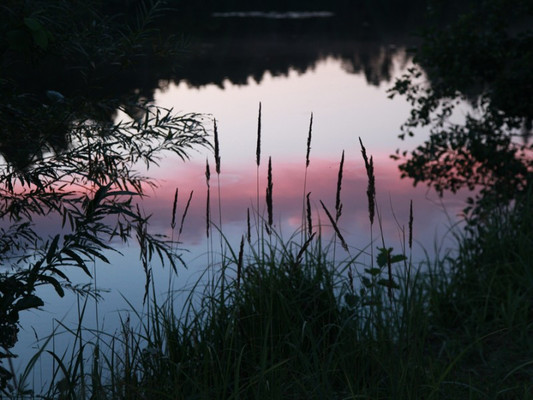 Продам дом, Новая ул, 211, Лужки д, 0 км от города