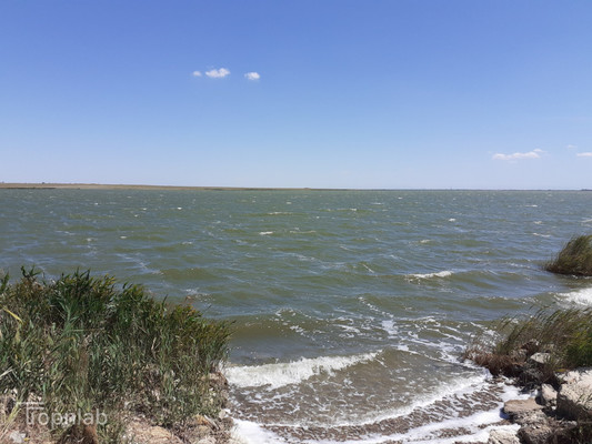 Продам участок 6 соток, Фермерское хоз., Дубки с, 0 км от города