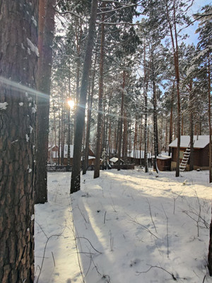 Продам участок 9,6 соток, ИЖС, Лесная ул, 423кз, Красноярск г, 0 км от города