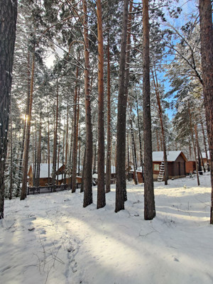 Продам участок 9,6 соток, ИЖС, Лесная ул, 423кз, Красноярск г, 0 км от города