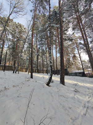 Продам участок 9,6 соток, ИЖС, Лесная ул, 423кз, Красноярск г, 0 км от города