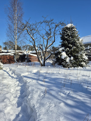 Продам дачу, 6, Автосервис-Центральный тер. СНТ, 0 км от города