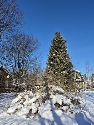Продам дачу, 6, Автосервис-Центральный тер. СНТ, 0 км от города