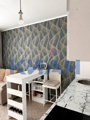 Продам однокомнатную (1-комн.) квартиру, Лесников ул, 25, Красноярск г