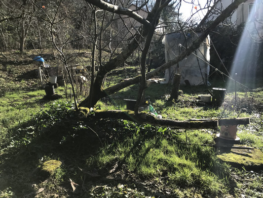 Продам участок 9,5 соток, ИЖС, Высокое с, 0 км от города