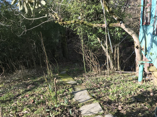 Продам участок 9,5 соток, ИЖС, Высокое с, 0 км от города