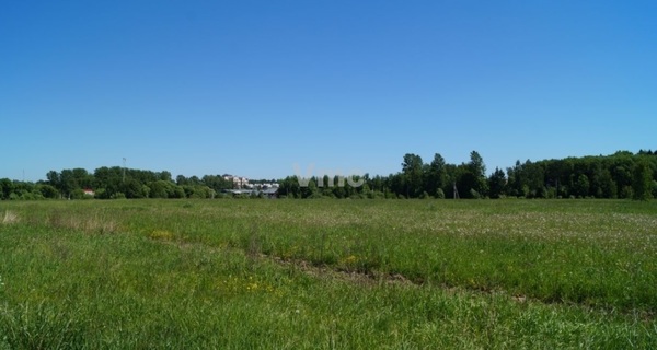 Продам участок 681 соток, ИЖС, Спортинг клуб Москва тер, 1 км от города