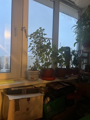 Продам двухкомнатную (2-комн.) квартиру, Новоорловская ул, 8к2, Москва г